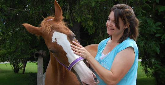 die Pferde- Tierärztin