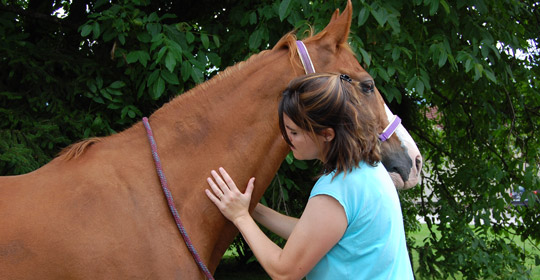 Untersuchung der Halswirbelsäule